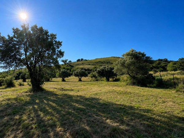 terreno agricolo in vendita a Grottaferrata in zona Molara