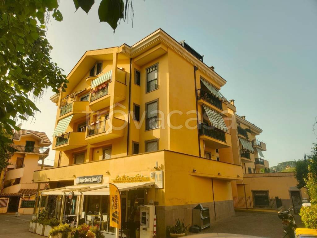 appartamento in vendita a Grottaferrata