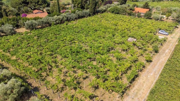 terreno agricolo in vendita a Grottaferrata