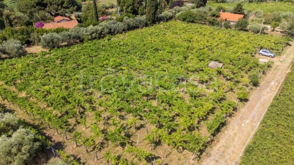 terreno agricolo in vendita a Grottaferrata