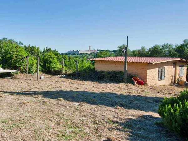 negozio in vendita a Grottaferrata