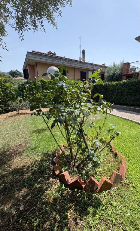 appartamento in vendita a Grottaferrata