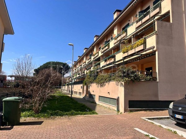 appartamento in vendita a Grottaferrata in zona Molara