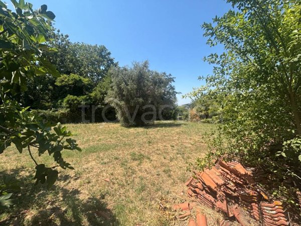 terreno edificabile in vendita a Grottaferrata