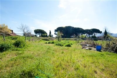 terreno in vendita a Grottaferrata in zona Molara