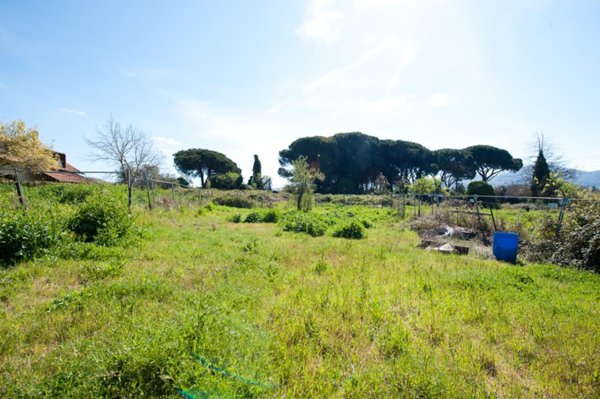 terreno edificabile in vendita a Grottaferrata