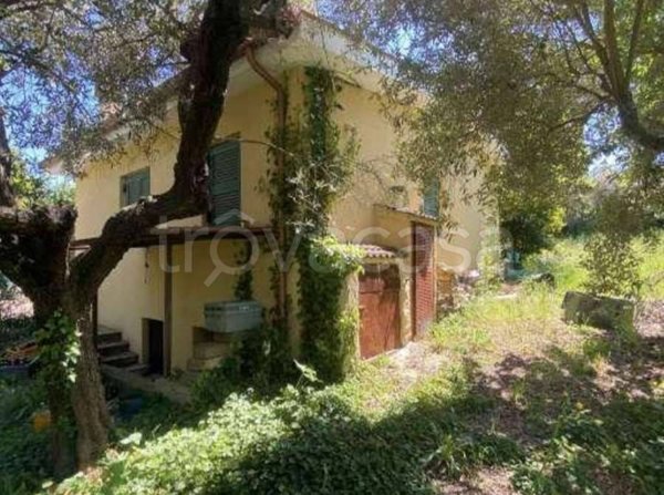 appartamento in vendita a Grottaferrata