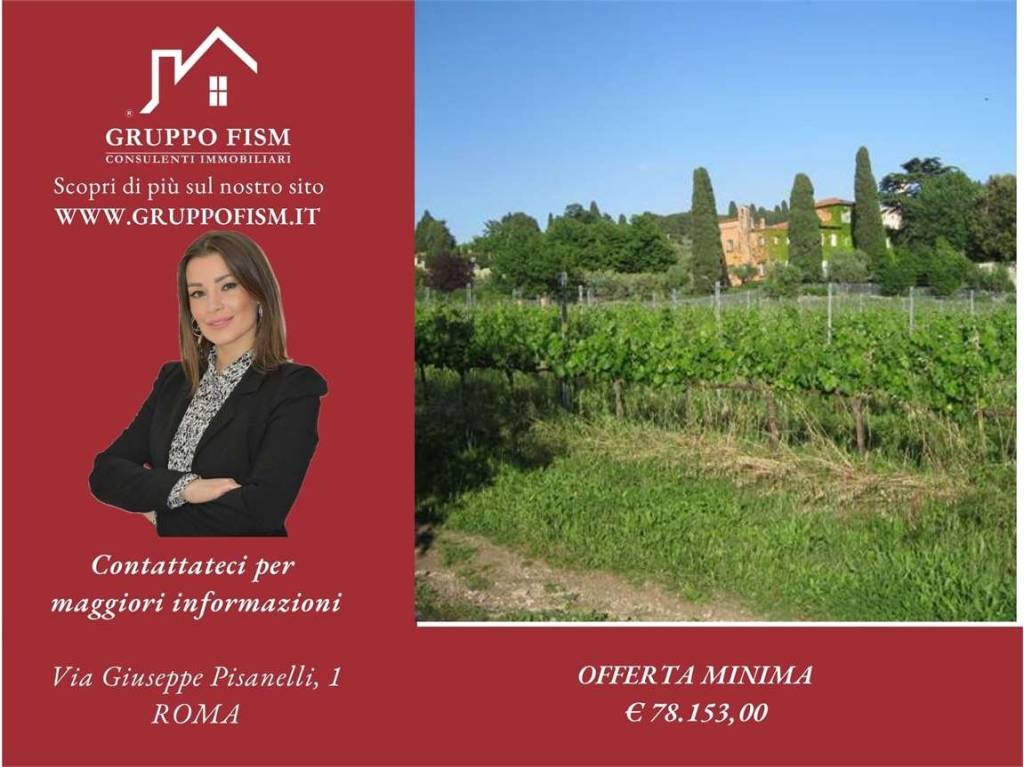 terreno agricolo in vendita a Grottaferrata