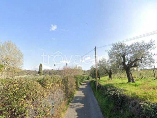 appartamento in vendita a Grottaferrata