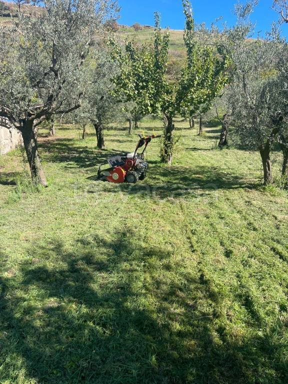 terreno in vendita a Grottaferrata