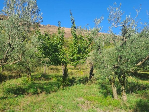 terreno in vendita a Grottaferrata in zona Molara