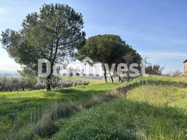 terreno agricolo in vendita a Guidonia Montecelio