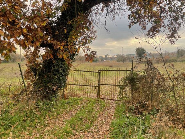 terreno agricolo in vendita a Guidonia Montecelio