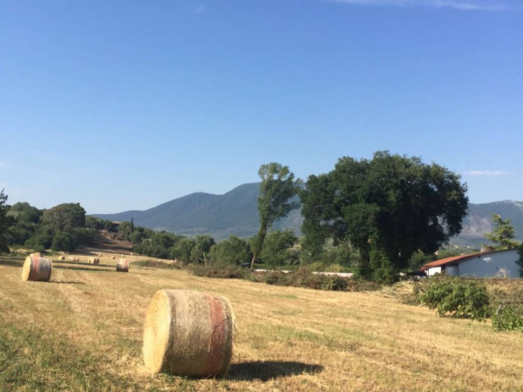 terreno agricolo in vendita a Guidonia Montecelio