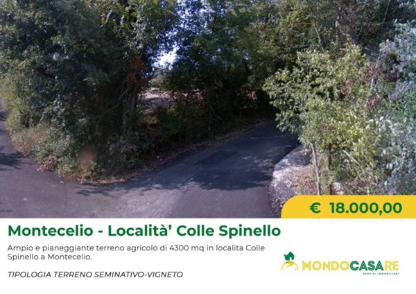 terreno agricolo in vendita a Guidonia Montecelio in zona Montecelio