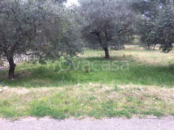 terreno edificabile in vendita a Guidonia Montecelio in zona Montecelio