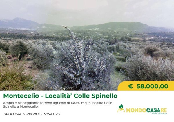 terreno agricolo in vendita a Guidonia Montecelio in zona Montecelio