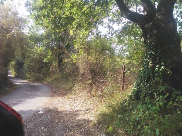 terreno agricolo in vendita a Guidonia Montecelio in zona Montecelio