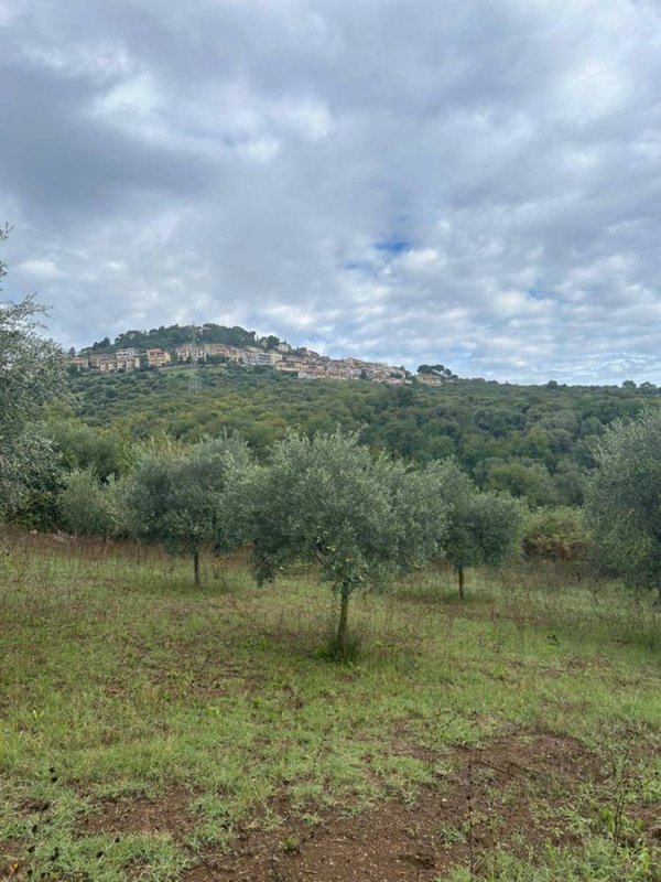 terreno agricolo in vendita a Guidonia Montecelio in zona Montecelio
