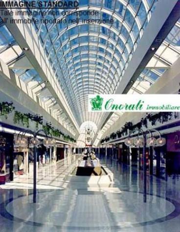 esavano in vendita a Guidonia Montecelio in zona Guidonia