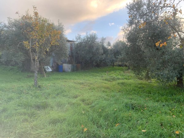 terreno agricolo in vendita a Guidonia Montecelio in zona Montecelio