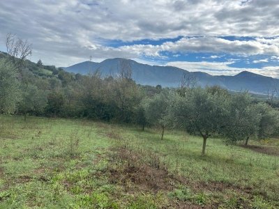 terreno agricolo in vendita a Guidonia Montecelio in zona Montecelio