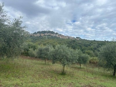 terreno agricolo in vendita a Guidonia Montecelio in zona Montecelio