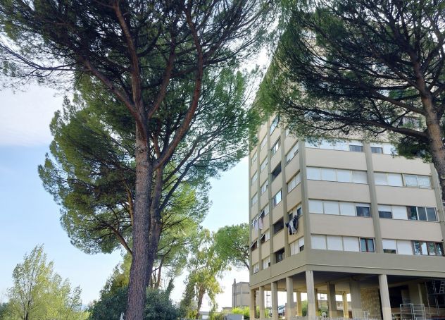 appartamento in vendita a Guidonia Montecelio