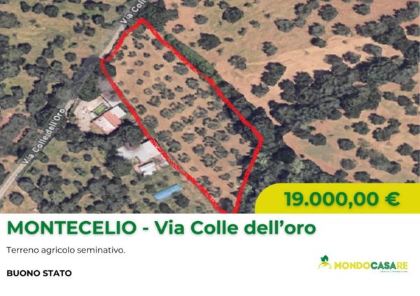 terreno agricolo in vendita a Guidonia Montecelio in zona Montecelio