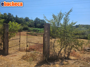 terreno agricolo in vendita a Guidonia Montecelio in zona Guidonia