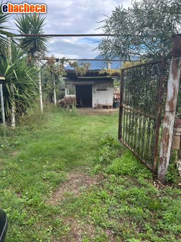 terreno agricolo in vendita a Guidonia Montecelio in zona Guidonia