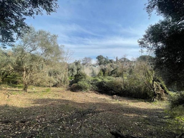 terreno agricolo in vendita a Guidonia Montecelio in zona Montecelio
