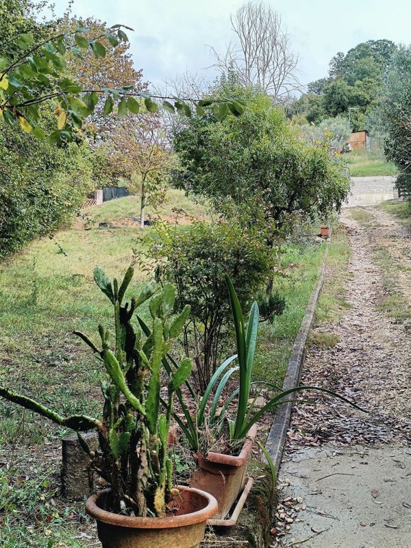 appartamento in vendita a Guidonia Montecelio
