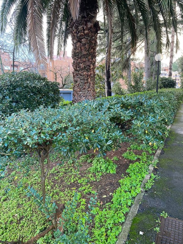 appartamento in vendita a Guidonia Montecelio