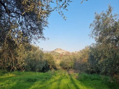 terreno agricolo in vendita a Guidonia Montecelio in zona Montecelio