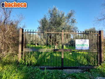 terreno agricolo in vendita a Guidonia Montecelio in zona Montecelio
