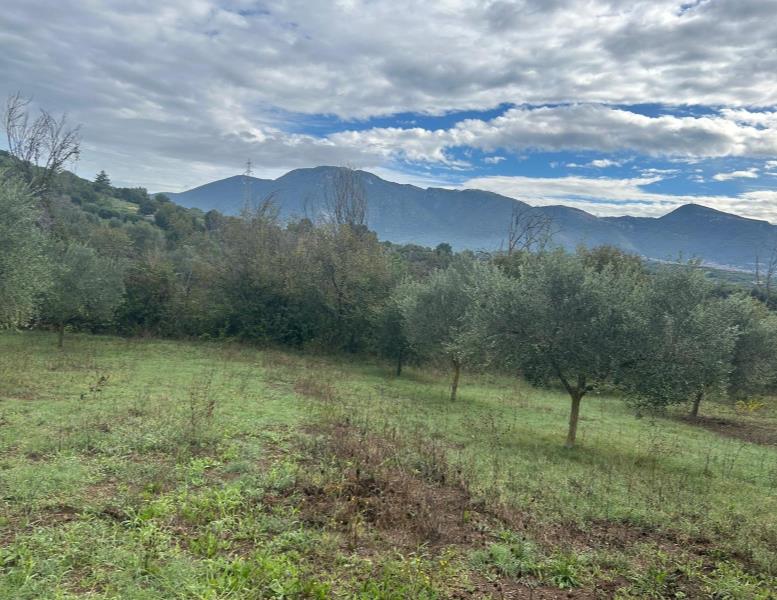 terreno agricolo in vendita a Guidonia Montecelio in zona Guidonia