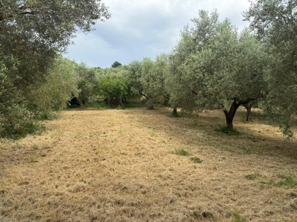 terreno agricolo in vendita a Guidonia Montecelio in zona Montecelio