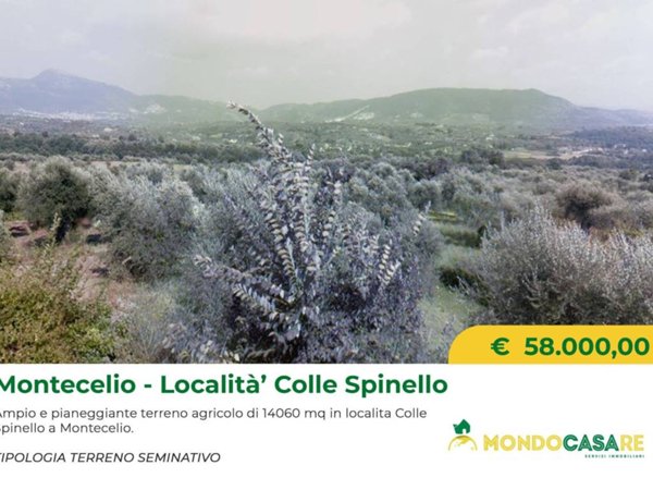 terreno agricolo in vendita a Guidonia Montecelio in zona Montecelio