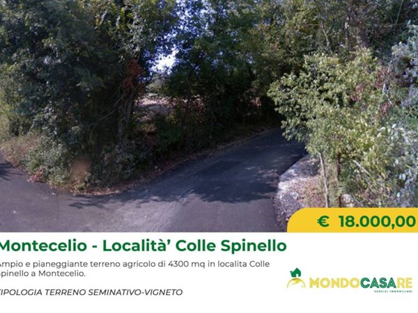 terreno agricolo in vendita a Guidonia Montecelio in zona Colle Spinello