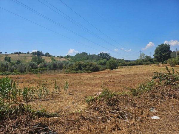 terreno agricolo in vendita a Guidonia Montecelio in zona Guidonia