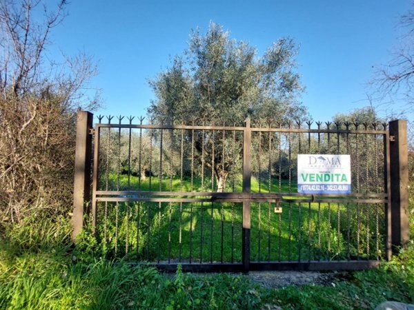 terreno agricolo in vendita a Guidonia Montecelio in zona Montecelio
