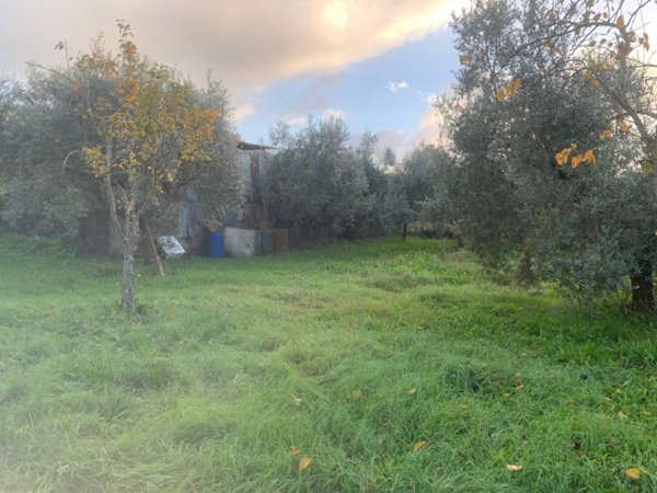 terreno agricolo in vendita a Guidonia Montecelio in zona Montecelio
