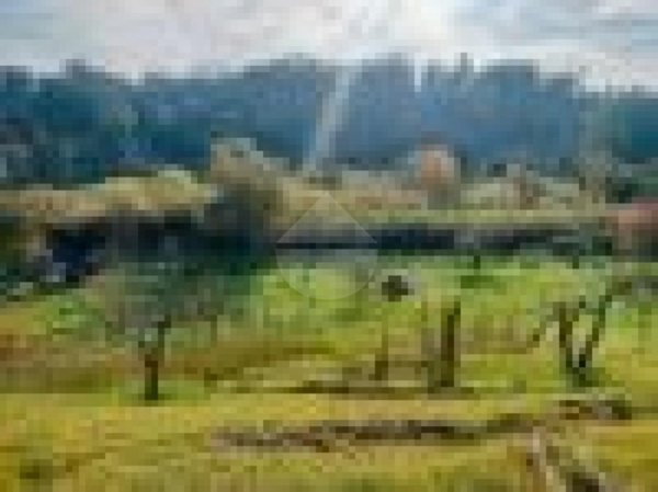 terreno agricolo in vendita a Guidonia Montecelio in zona Montecelio