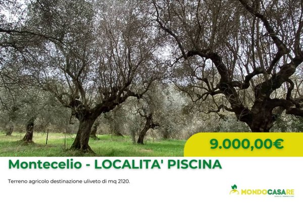 terreno agricolo in vendita a Guidonia Montecelio in zona Montecelio