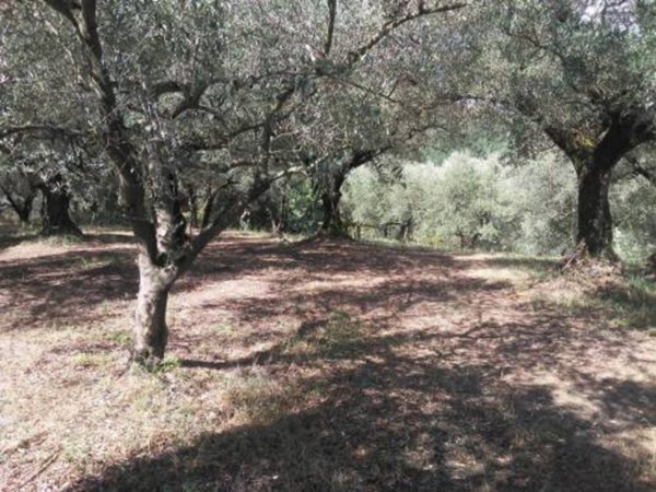 terreno agricolo in vendita a Guidonia Montecelio in zona Guidonia
