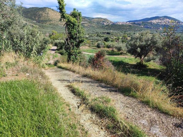 terreno agricolo in vendita a Guidonia Montecelio