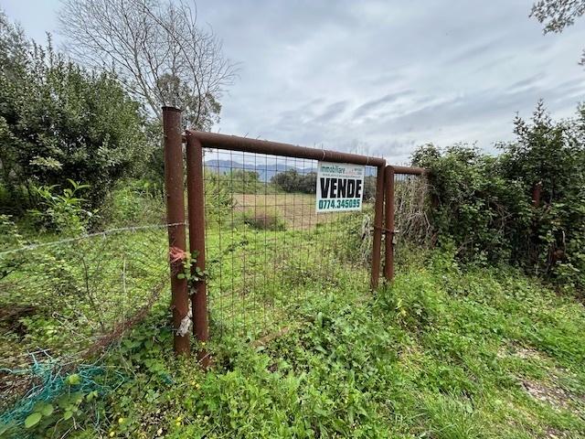 terreno agricolo in vendita a Guidonia Montecelio in zona Colle Spinello