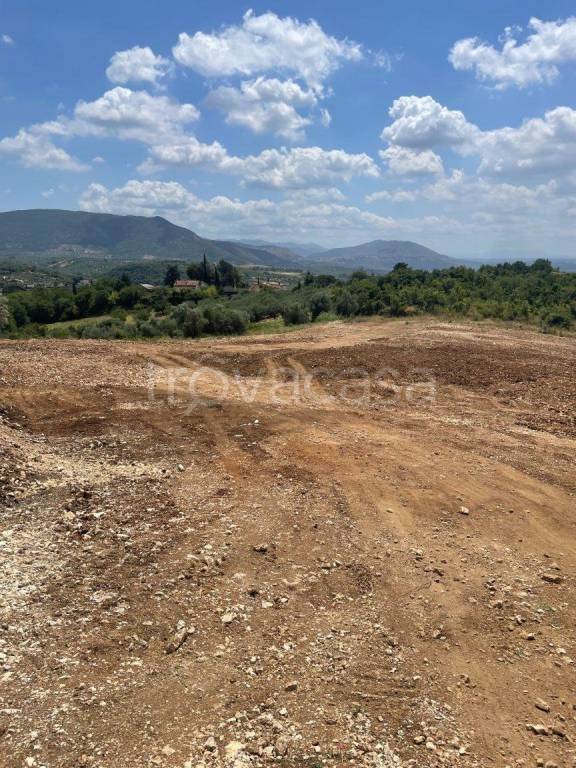 terreno agricolo in vendita a Guidonia Montecelio in zona Montecelio