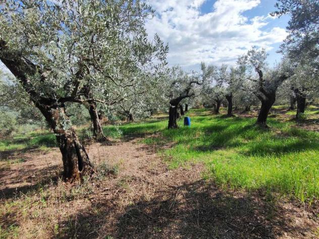 terreno agricolo in vendita a Guidonia Montecelio